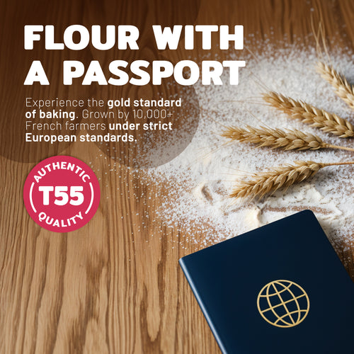 Aterra Mills French All Purpose Flour Unbleached European Baking