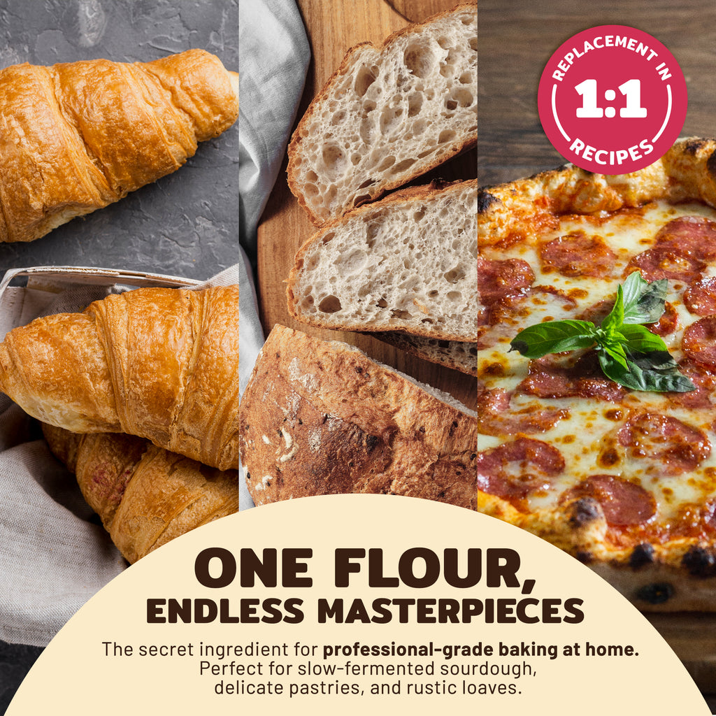 Aterra Mills French All Purpose Flour Unbleached European Baking