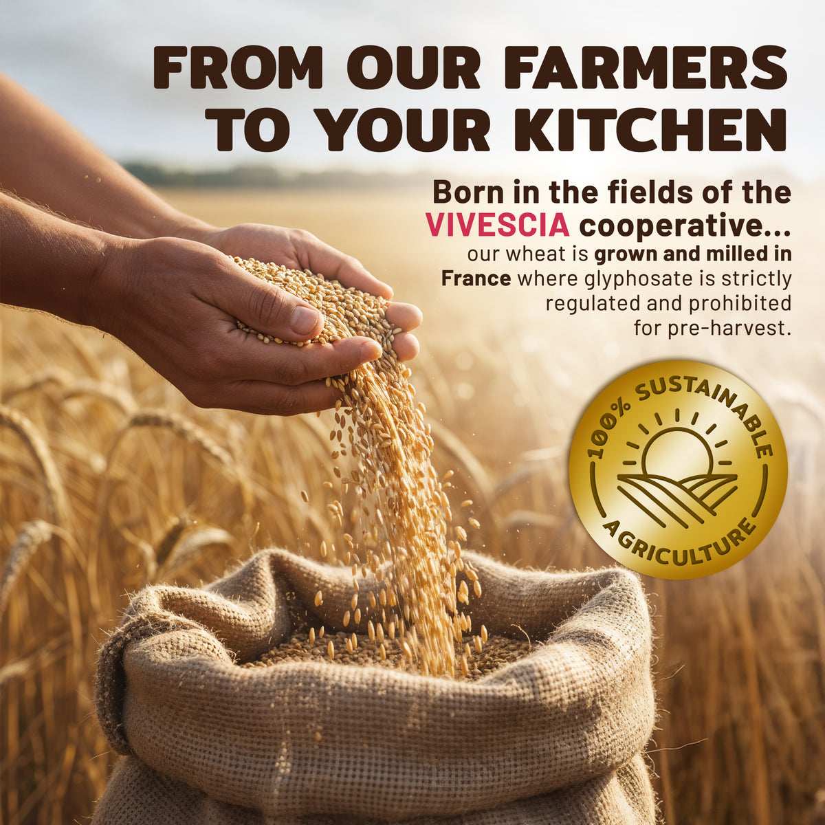 Aterra Mills French All Purpose Flour Unbleached European Baking